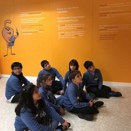 Aula Salud 4º EP marzo 2018_1 9