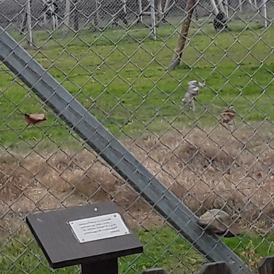 2020-01-15 visita rainfer 10