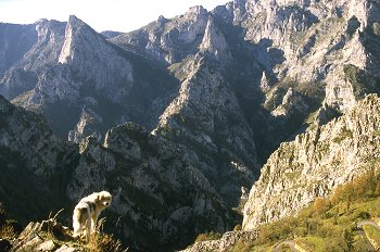 Plano general de los Picos de Europa