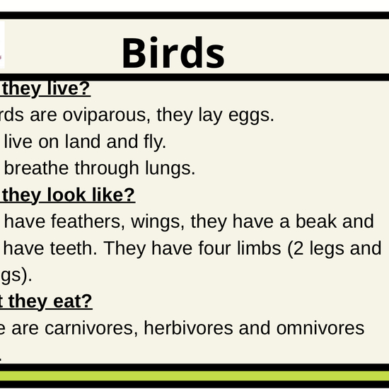 BIRDS