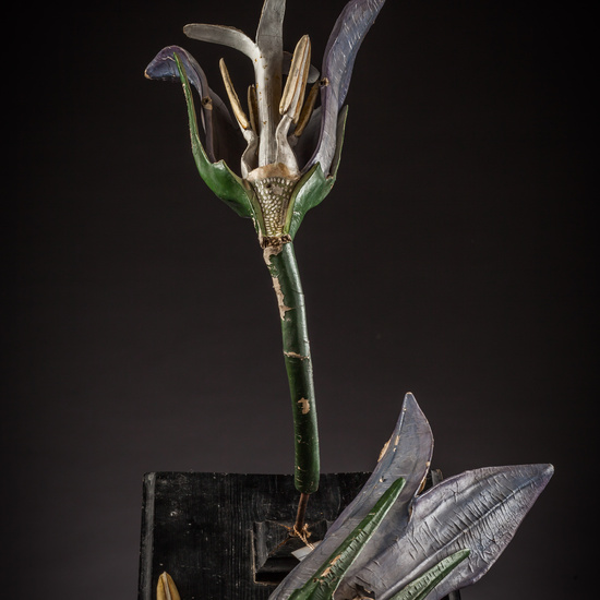 IES_ISABELLACATOLICA_BIOLOGIA_095