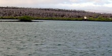 Canal de Itabaca en la Isla Santa Cruz y Baltra, Ecuador