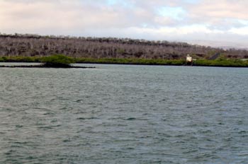 Canal de Itabaca en la Isla Santa Cruz y Baltra, Ecuador