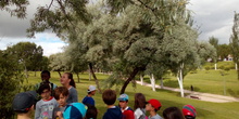 SALIDA AL PARQUE 5