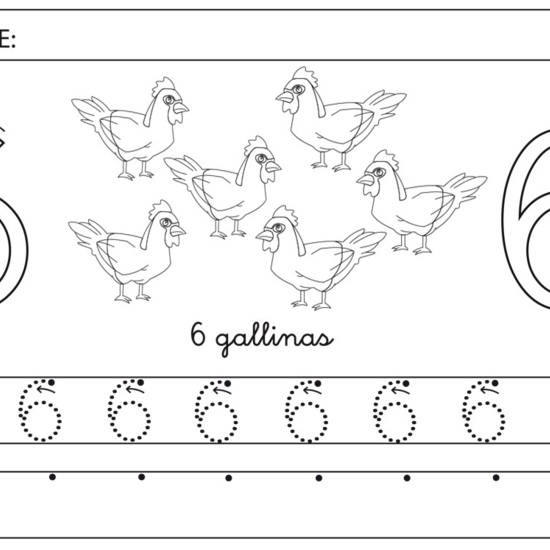 Número 6 gallinas