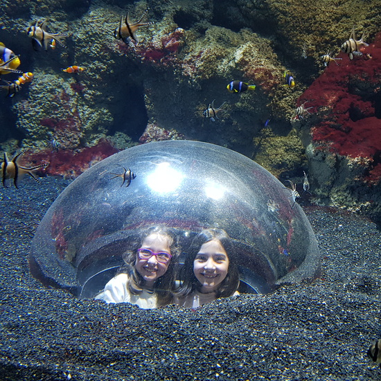 Aquarium Xanadú II 3ºB  19