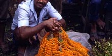 Vendedor del mercado de flores, Calcuta, India
