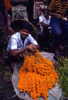 Vendedor del mercado de flores, Calcuta, India