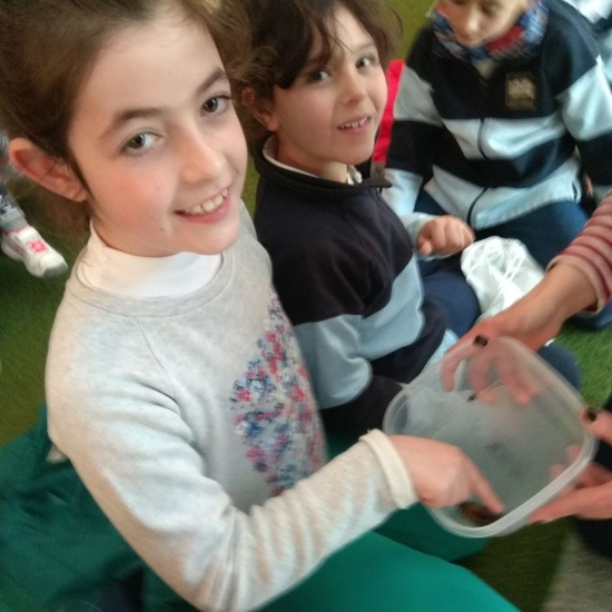 2018_03_16_Tercero visita el Insect Park_CEIP FDLR_Las Rozas 1