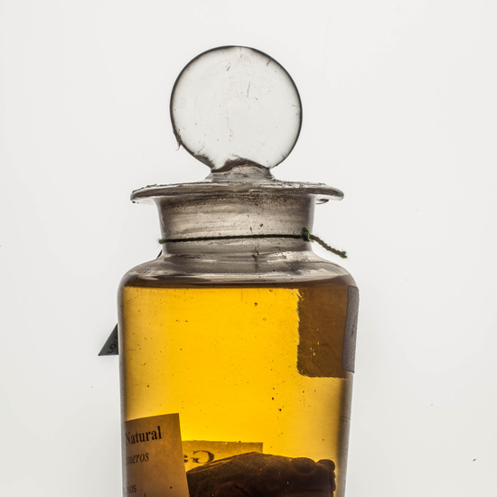 IES_CARDENALCISNEROS_CIENCIASNATURALES_212