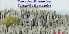 Towering Pinnacles: Tsingy de Bemaraha: UNESCO Culture Sector
