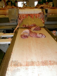 Cinta transportadora de carne