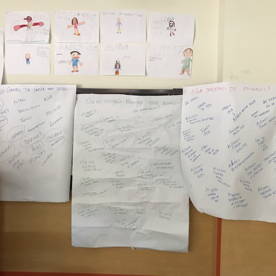 ¿Qué sabemos de animales?