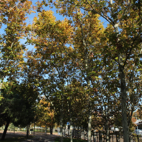 Víctor Escudero Sampayo 2º STI MAÑANA FOTO 1