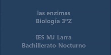 enzimas ies mj larra bach nocturno