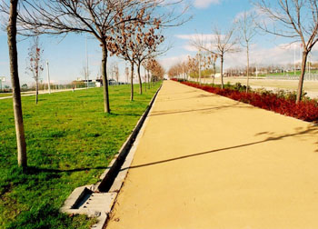 Camino dentro de un parque