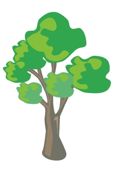 árbol