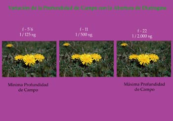 Profundidad de Campo y Abertura de Diafragma