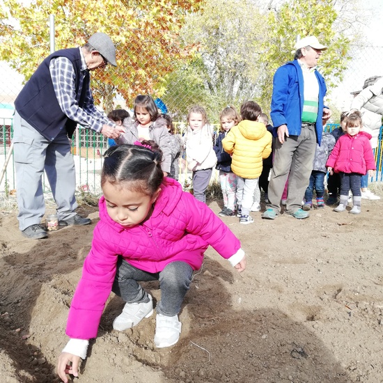 Huerto escolar 2019/20 33