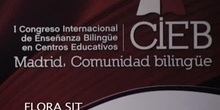 Taller: CLIL experiences in online higher education