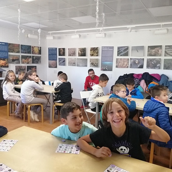 Salida Bosque Sur.3º de Primaria. Octubre 2019 3
