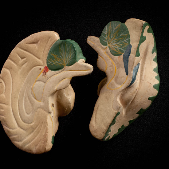 IES_ISABELLACATOLICA_ANATOMIA_031