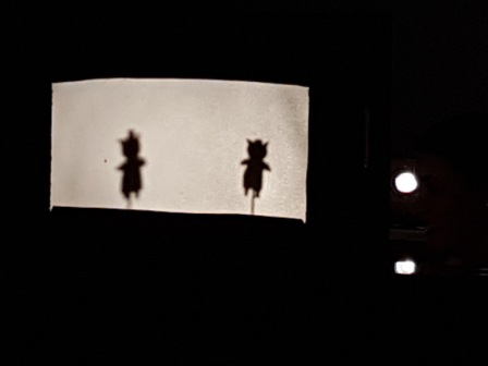 Los pulpos y las sombras chinas 23