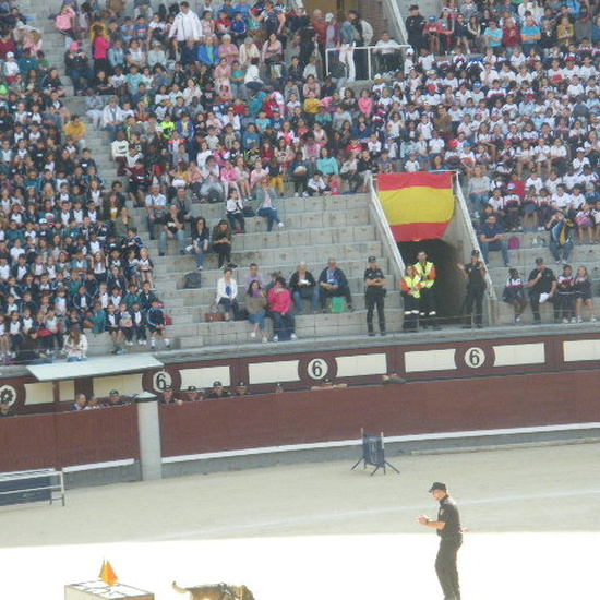Salida 2º y 3º de Primaria a la exhibición Policía en las Ventas.Oct.19 15