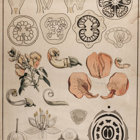 IES_LOPEDEVEGA_CIENCIASNATURALES_052