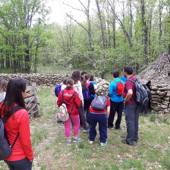 El cole en imágenes 13