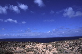 Acantilados, Canarias