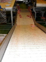 Cinta transportadora de carne