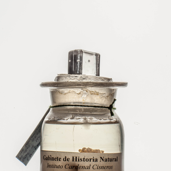 IES_CARDENALCISNEROS_CIENCIASNATURALES_016