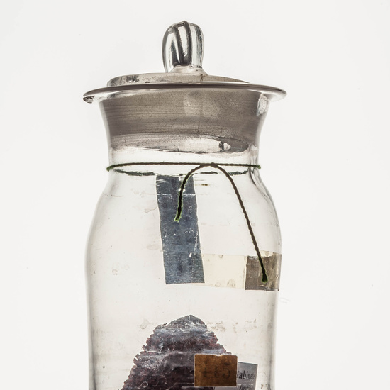 IES_CARDENALCISNEROS_CIENCIASNATURALES_048