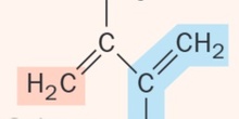 Isopreno