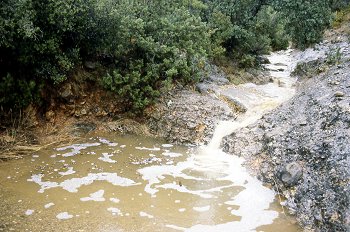Cauce del río Isuala. Guara