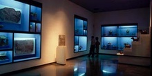 Sala de exposiciones
