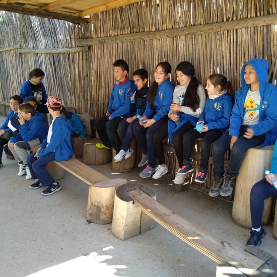 Arqueopinto 4º 19 18