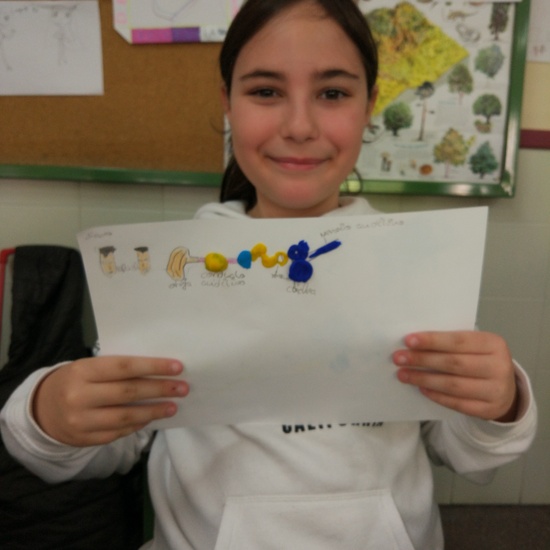 Día Internacional del Implante Coclear - ¿Cómo funciona un implante? 20