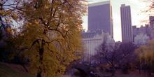 Central Park, Nueva York, Estados Unidos