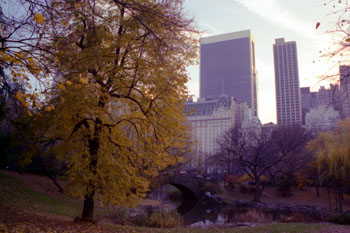 Central Park, Nueva York, Estados Unidos