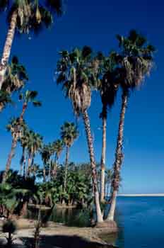 San José del Cabo, Baja California Sur
