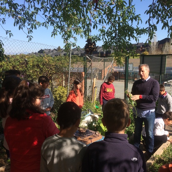 2019_05_El huerto del cole no para...CEIP FDLR_Las Rozas 4