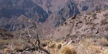 Puente de Picheuta, Argentina