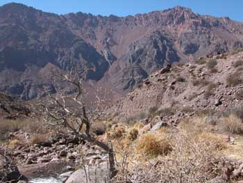 Puente de Picheuta, Argentina