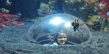 FOTOS AQUARIUM 2 19