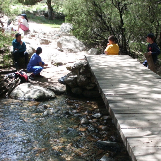 NIÑAS/OS DE 5º. NATURALEZA VIVA EN LA PEDRIZA. HOSTOS POR EL PLANETA 9