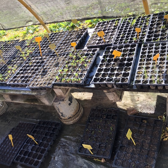 Albergue 6º - 2º día (mañana) 10