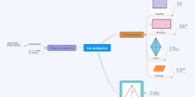 Mapa mental Los polígonos 
