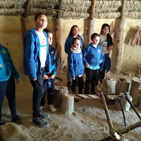 Arqueopinto 4º 19 1